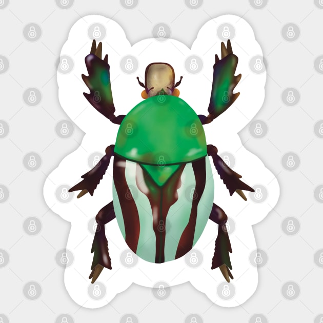 Jewel Beetle Sticker by Alex McGoran’s Store